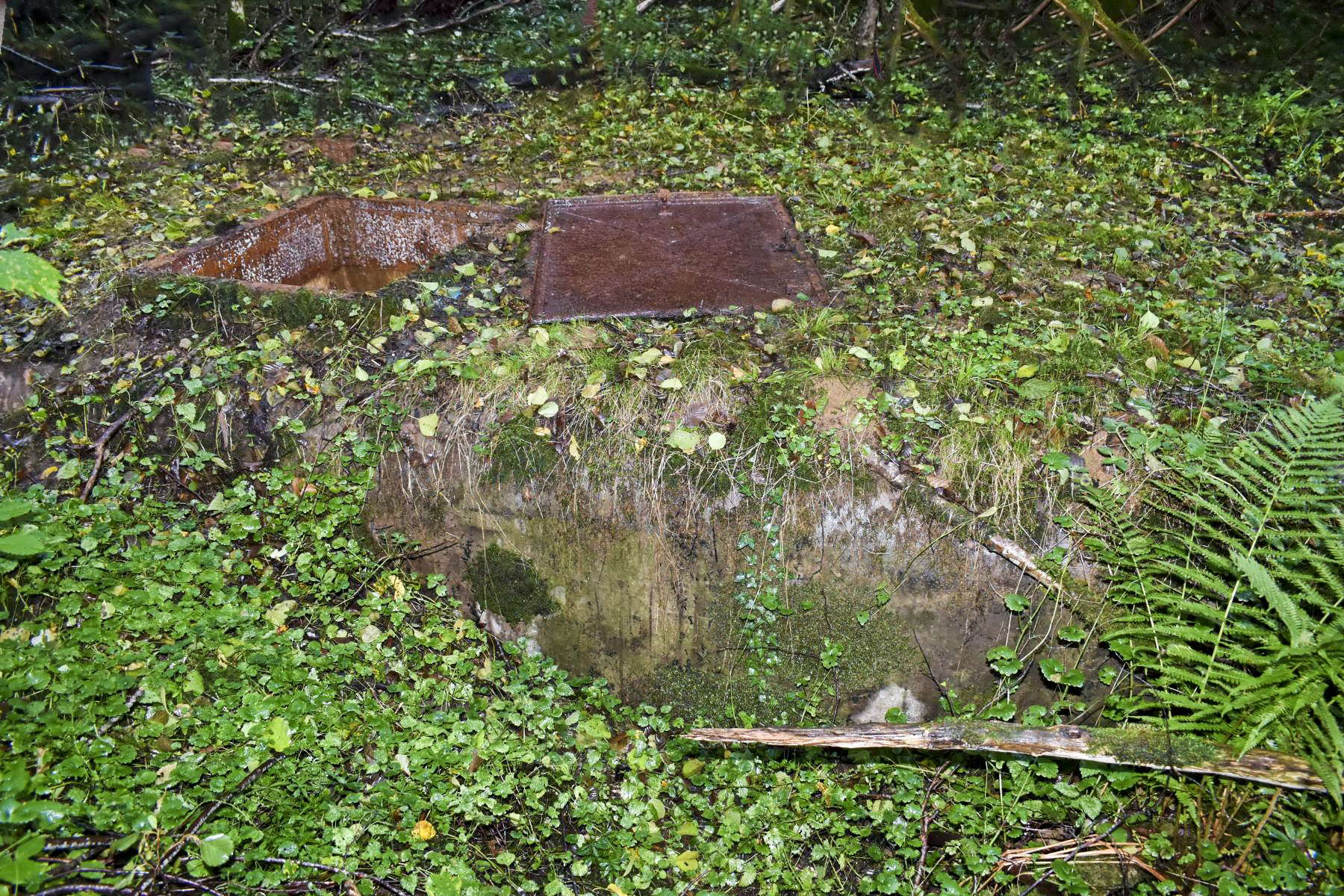 Ligne Maginot - 9 - (Chambre de coupure) - Vue extérieure - D.Froehly