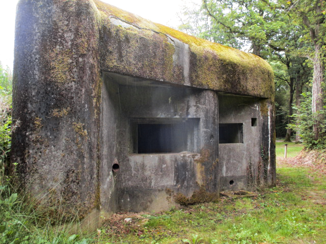 Ligne Maginot - A36 - FORT JEAN DIOT - (Blockhaus pour canon) -  - Randonneur62
