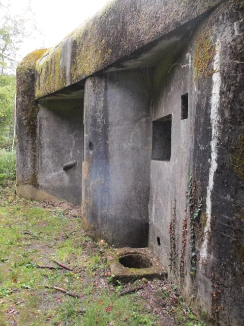 Ligne Maginot - A36 - FORT JEAN DIOT - (Blockhaus pour canon) -  - Randonneur62