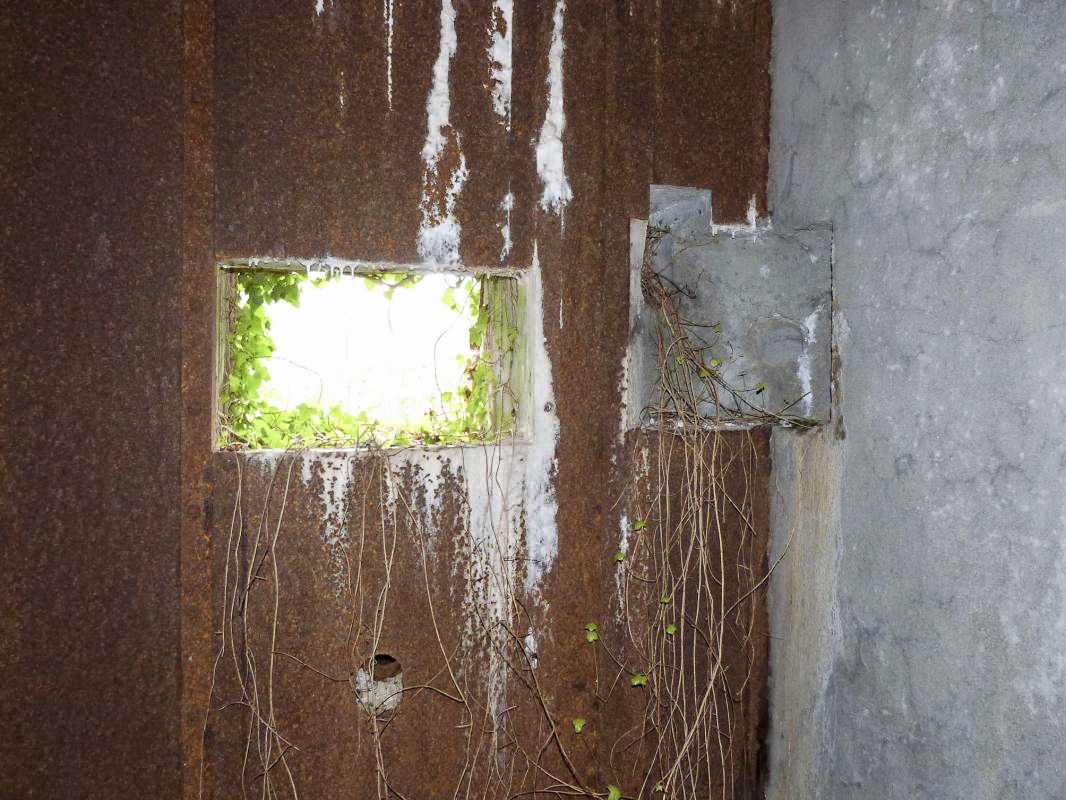 Ligne Maginot - A36 - FORT JEAN DIOT - (Blockhaus pour canon) -  - JMBrams