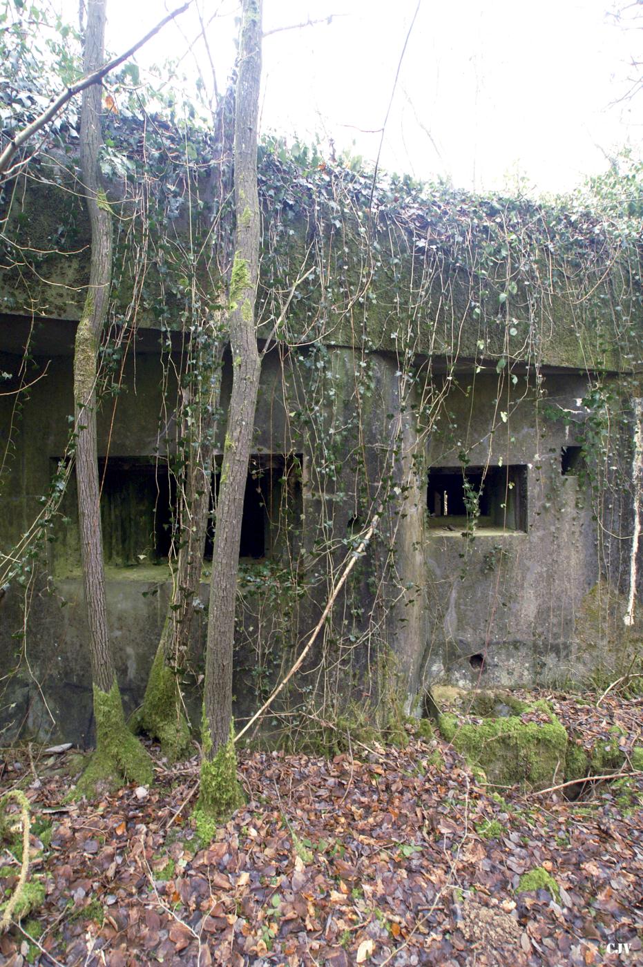 Ligne Maginot - A36 - FORT JEAN DIOT - (Blockhaus pour canon) -  - Caspar Vermeulen