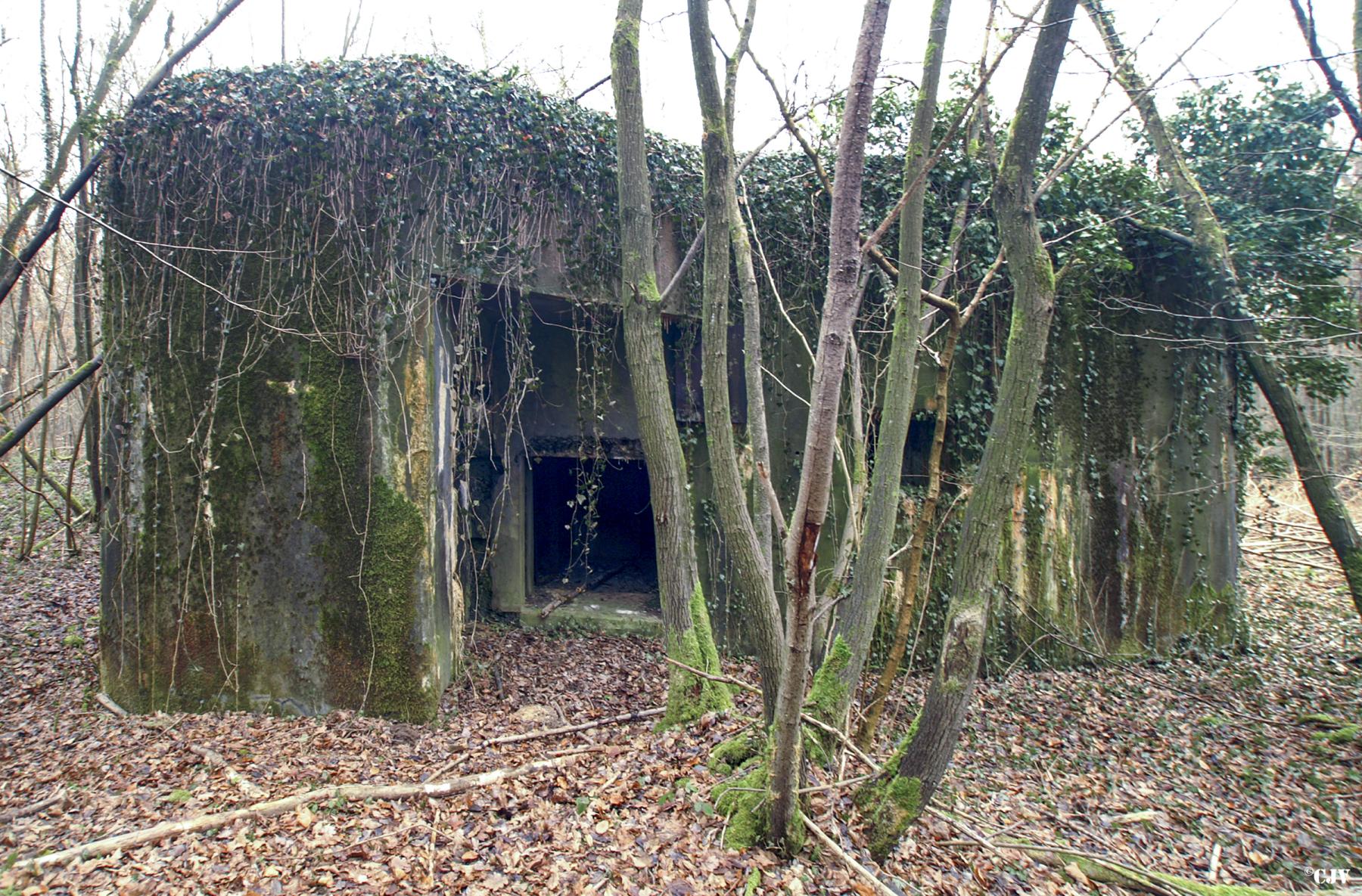 Ligne Maginot - A36 - FORT JEAN DIOT - (Blockhaus pour canon) -  - Caspar Vermeulen