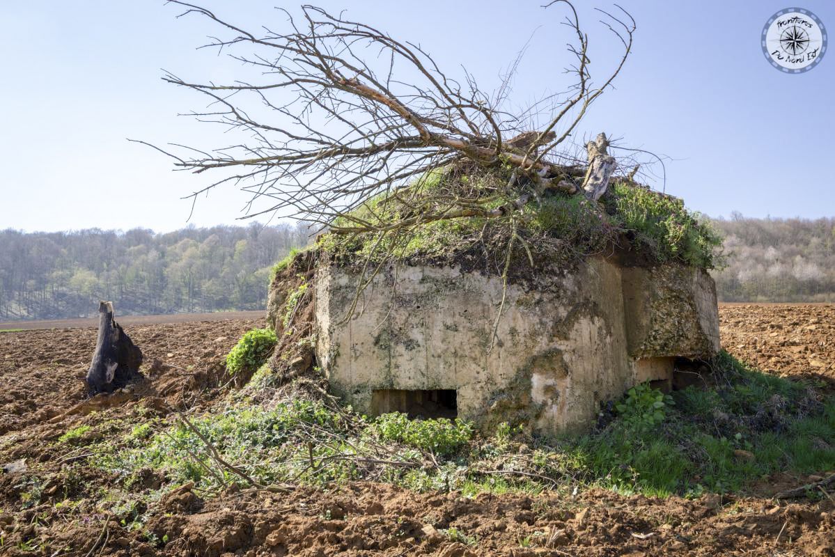 Ligne Maginot - 55 - LES CHASINES - (Blockhaus pour arme infanterie) -          - Thierry Caland