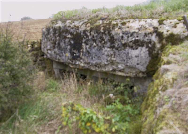 Ligne Maginot - 57BIS - FONTENELLE OUEST - (Blockhaus pour arme infanterie) -  - Jean-Louis AUBLET & Sylvie MAINGUIN