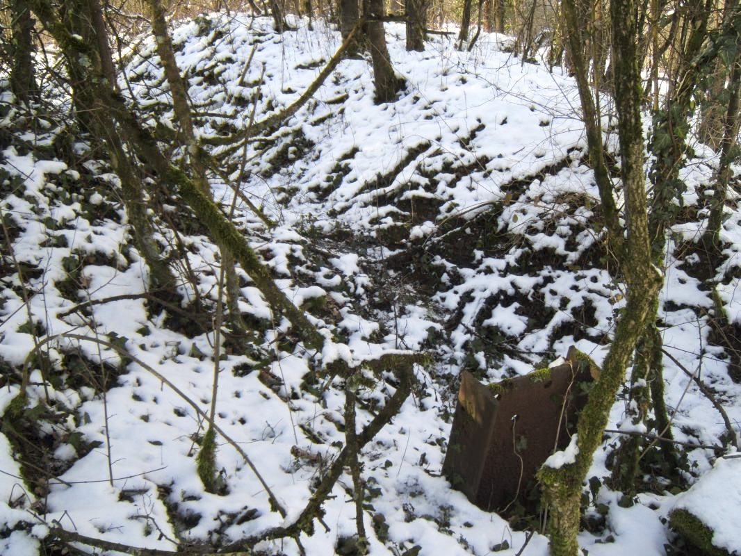 Ligne Maginot - 66 - LA CHAVEE NORD - (Blockhaus pour arme infanterie) - Tranchée avec accès à un boyau d'observation (le rail est solidement ancré  - David HARMAND