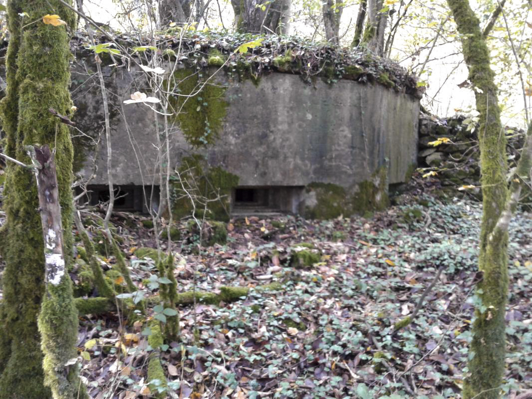 Ligne Maginot - 66BIS - BOIS LE SART CENTRE - (Blockhaus pour arme infanterie) - Vue extérieure des trois créneaux. - Fabrice THOMASSIN