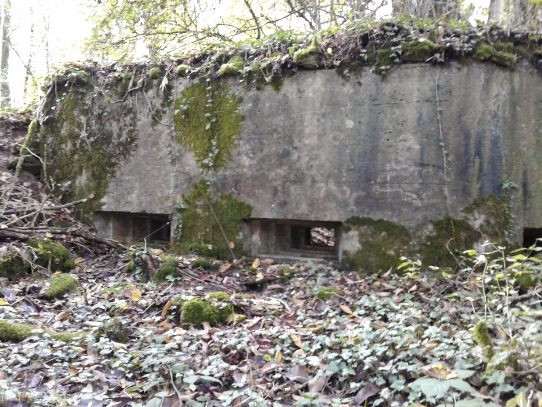 Ligne Maginot - 66BIS - BOIS LE SART CENTRE - (Blockhaus pour arme infanterie) - Vue extérieure des trois créneaux. - Fabrice THOMASSIN
