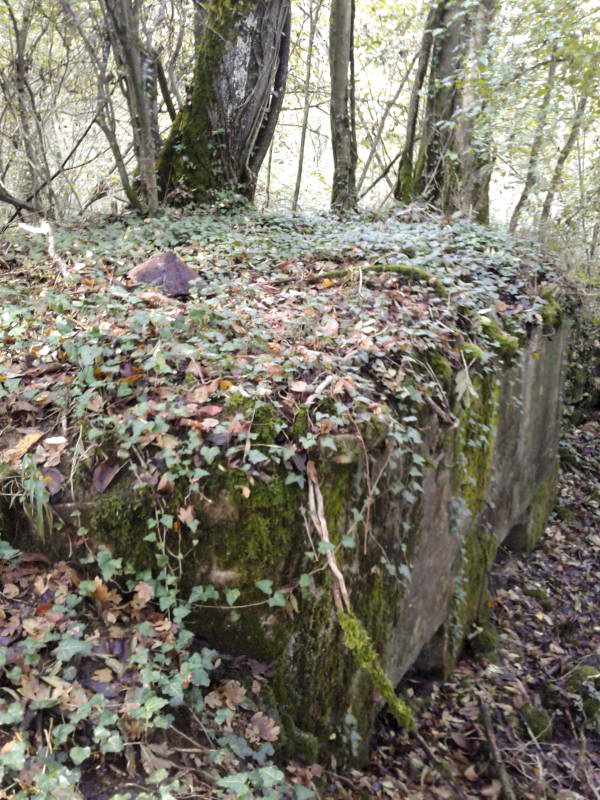 Ligne Maginot - 66BIS - BOIS LE SART CENTRE - (Blockhaus pour arme infanterie) - Couvercle de la cheminée de ventilation de droite
encore en place. - Fabrice THOMASSIN
