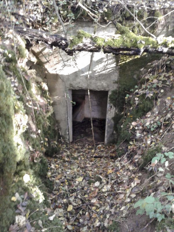 Ligne Maginot - 66BIS - BOIS LE SART CENTRE - (Blockhaus pour arme infanterie) - Entrée du bloc. - Fabrice THOMASSIN