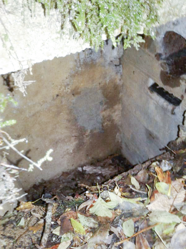 Ligne Maginot - 66BIS - BOIS LE SART CENTRE - (Blockhaus pour arme infanterie) - Fosse à étuis, à gauche devant l'entrée.  - Fabrice THOMASSIN