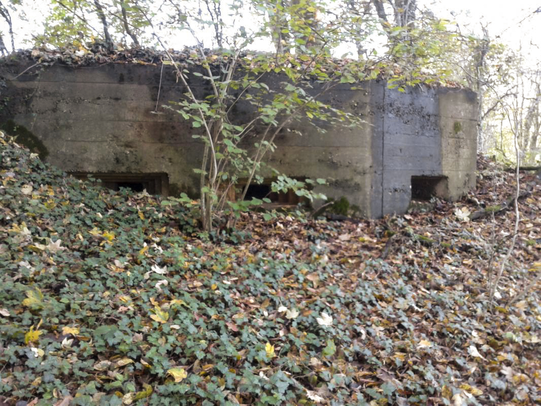 Ligne Maginot - 66TER - BOIS LE SART NORD - (Blockhaus pour arme infanterie) - Vue extérieure des trois créneaux - Fabrice THOMASSIN