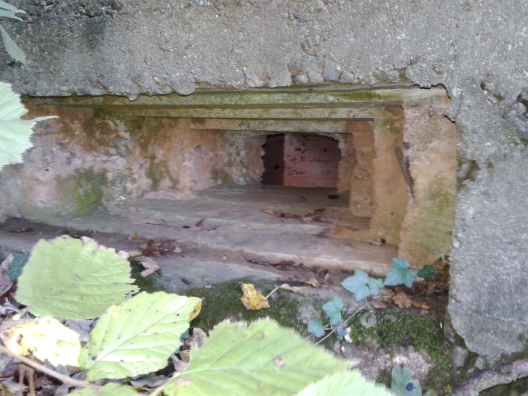 Ligne Maginot - 66TER - BOIS LE SART NORD - (Blockhaus pour arme infanterie) - Créneau central pour mitrailleuse. - Fabrice THOMASSIN