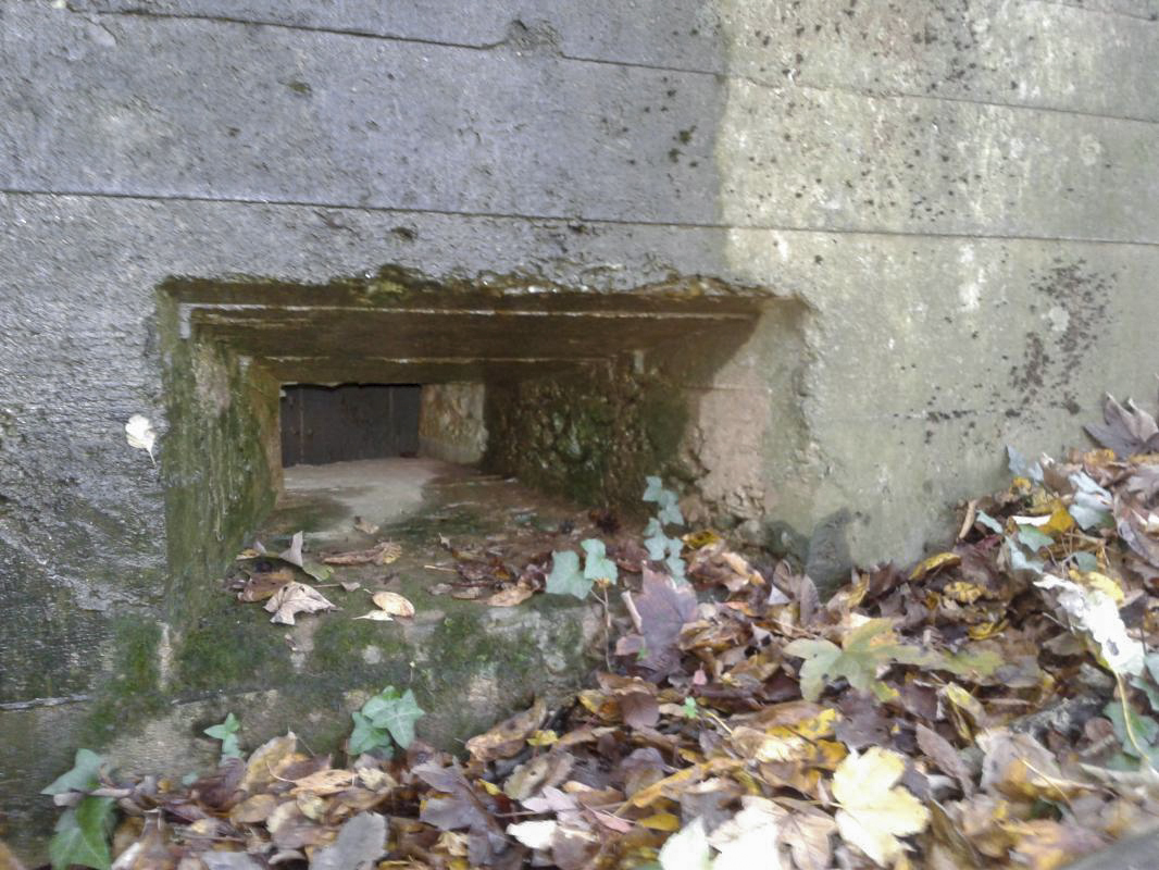 Ligne Maginot - 66TER - BOIS LE SART NORD - (Blockhaus pour arme infanterie) - Créneau pour FM - Fabrice THOMASSIN