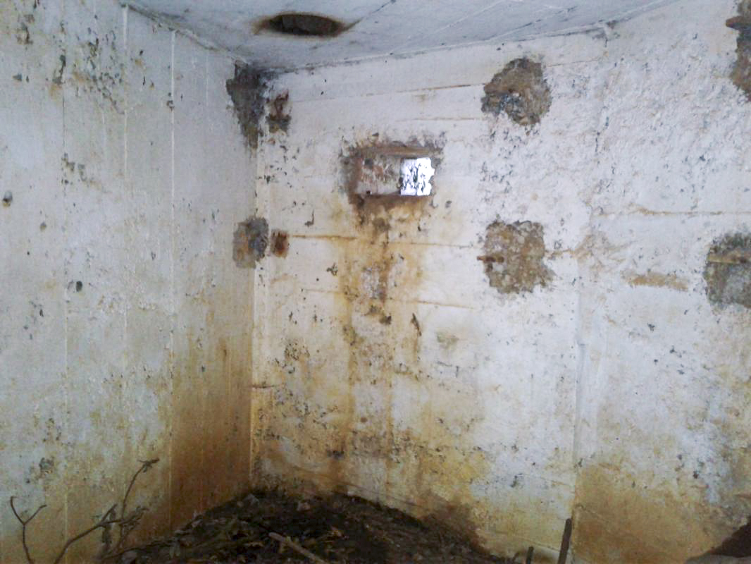 Ligne Maginot - 66TER - BOIS LE SART NORD - (Blockhaus pour arme infanterie) - Intérieur du bloc.
Créneau de gauche (FM). - Fabrice THOMASSIN