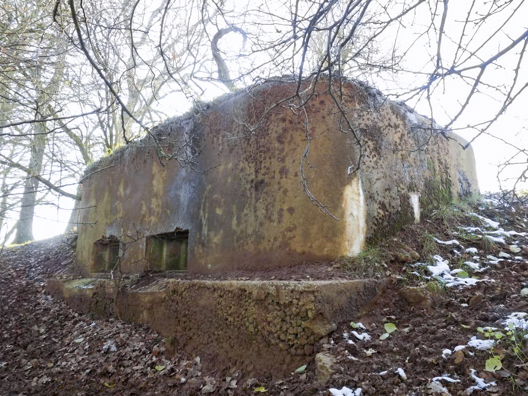 Ligne Maginot - 74BIS - LE GEAI - (Blockhaus pour arme infanterie) - Faces frontale et gauche - R Tucker