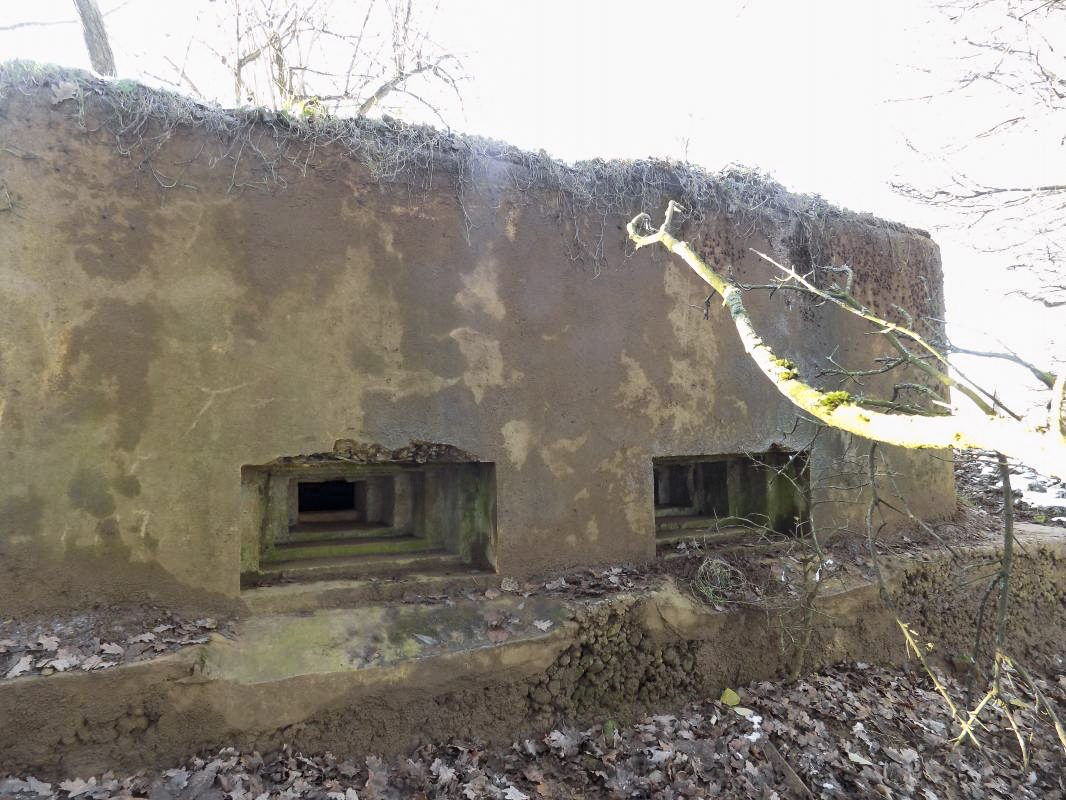 Ligne Maginot - 74BIS - LE GEAI - (Blockhaus pour arme infanterie) - Face frontale - R Tucker