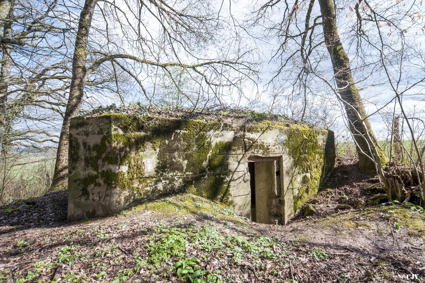 Ligne Maginot - 75 - LE MAMELON EST - (Blockhaus pour arme infanterie) - L'entrée - Lia VERMEULEN