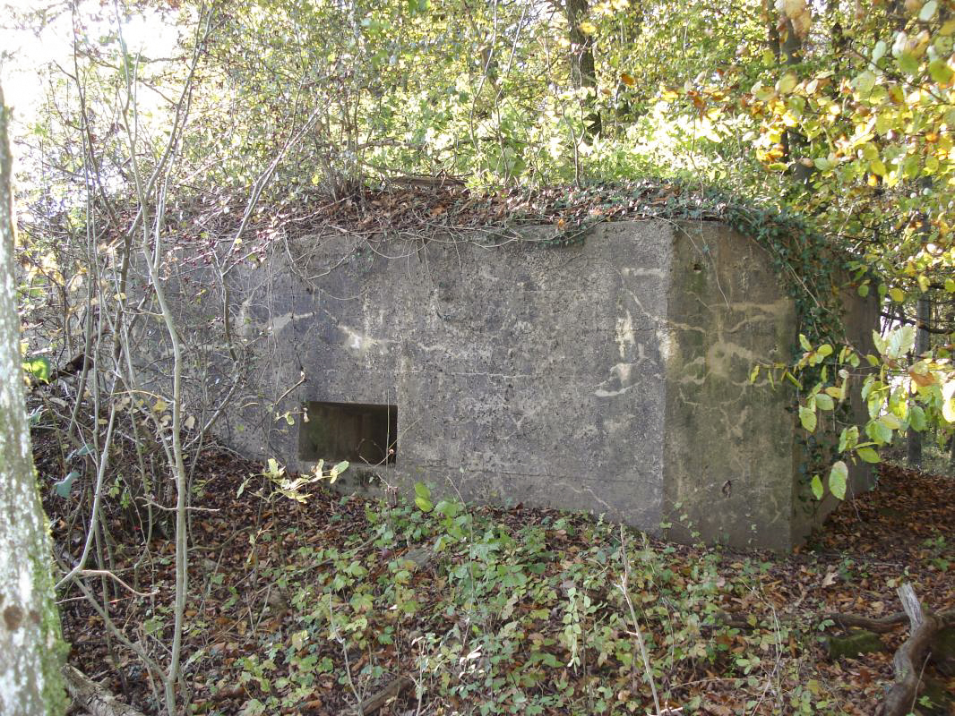 Ligne Maginot - 75 - LE MAMELON EST - (Blockhaus pour arme infanterie) -  - R Tucker