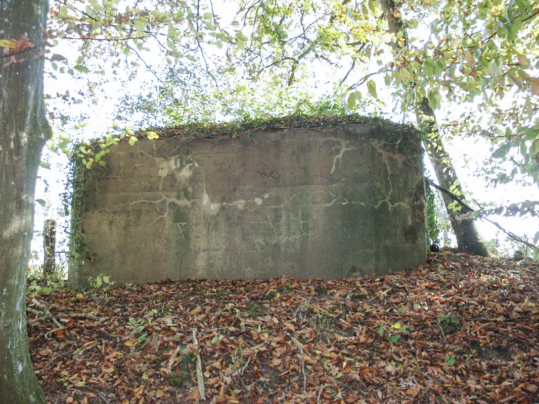 Ligne Maginot - 75 - LE MAMELON EST - (Blockhaus pour arme infanterie) -  - R Tucker