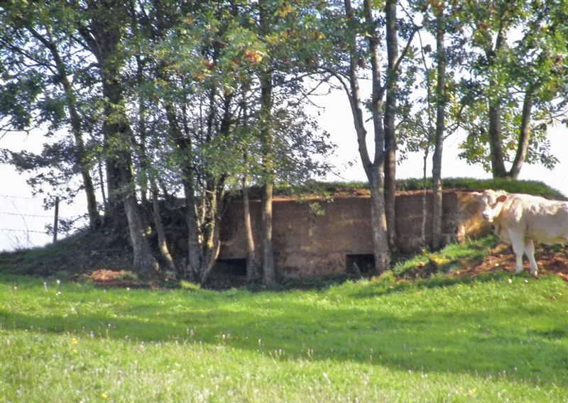 Ligne Maginot - 77 - LES LONGUES ROYES - (Blockhaus pour arme infanterie) -  - Jean-Louis AUBLET & Sylvie MAINGUIN