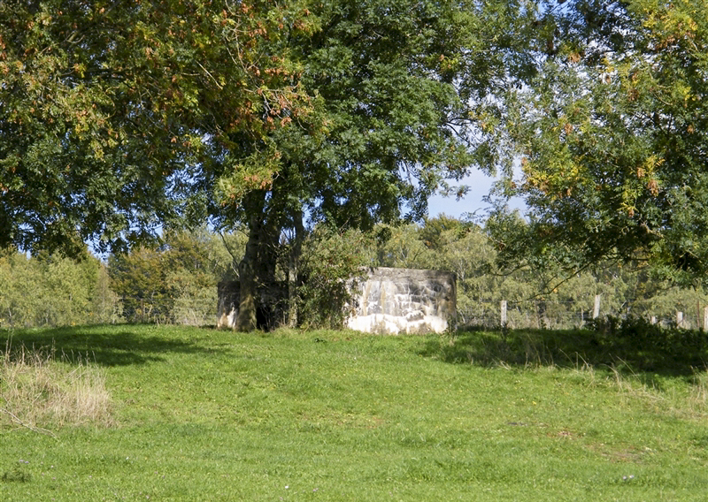 Ligne Maginot - 77 - LES LONGUES ROYES - (Blockhaus pour arme infanterie) -  - Jean-Louis AUBLET & Sylvie MAINGUIN