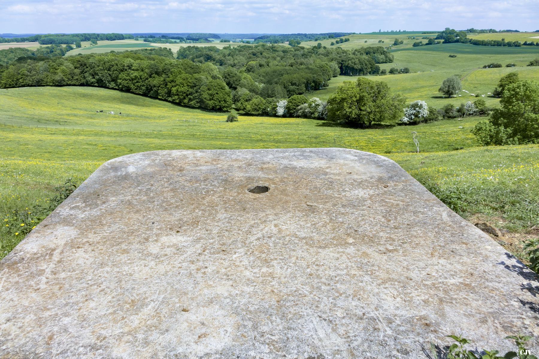 Ligne Maginot - 77BIS - Les LONGUES ROYES Nord -          - Lia VERMEULEN