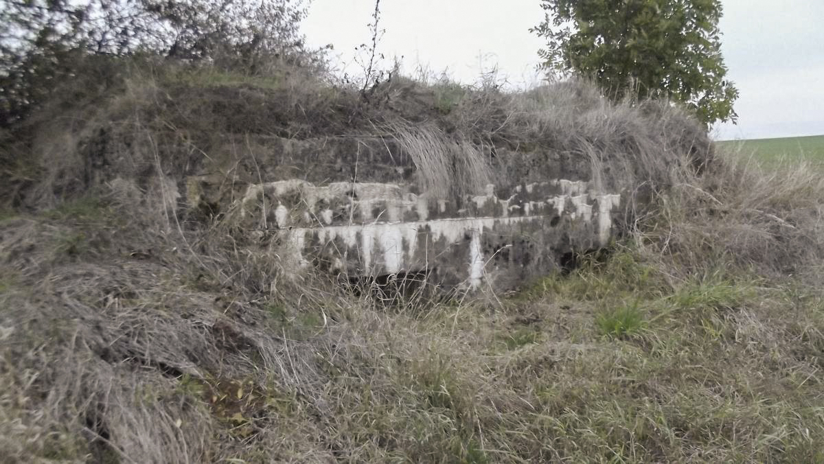 Ligne Maginot - 78 - LA SERPE EST - (Blockhaus pour arme infanterie) - Créneaux orientés vers Montlibert  - David HARMAND