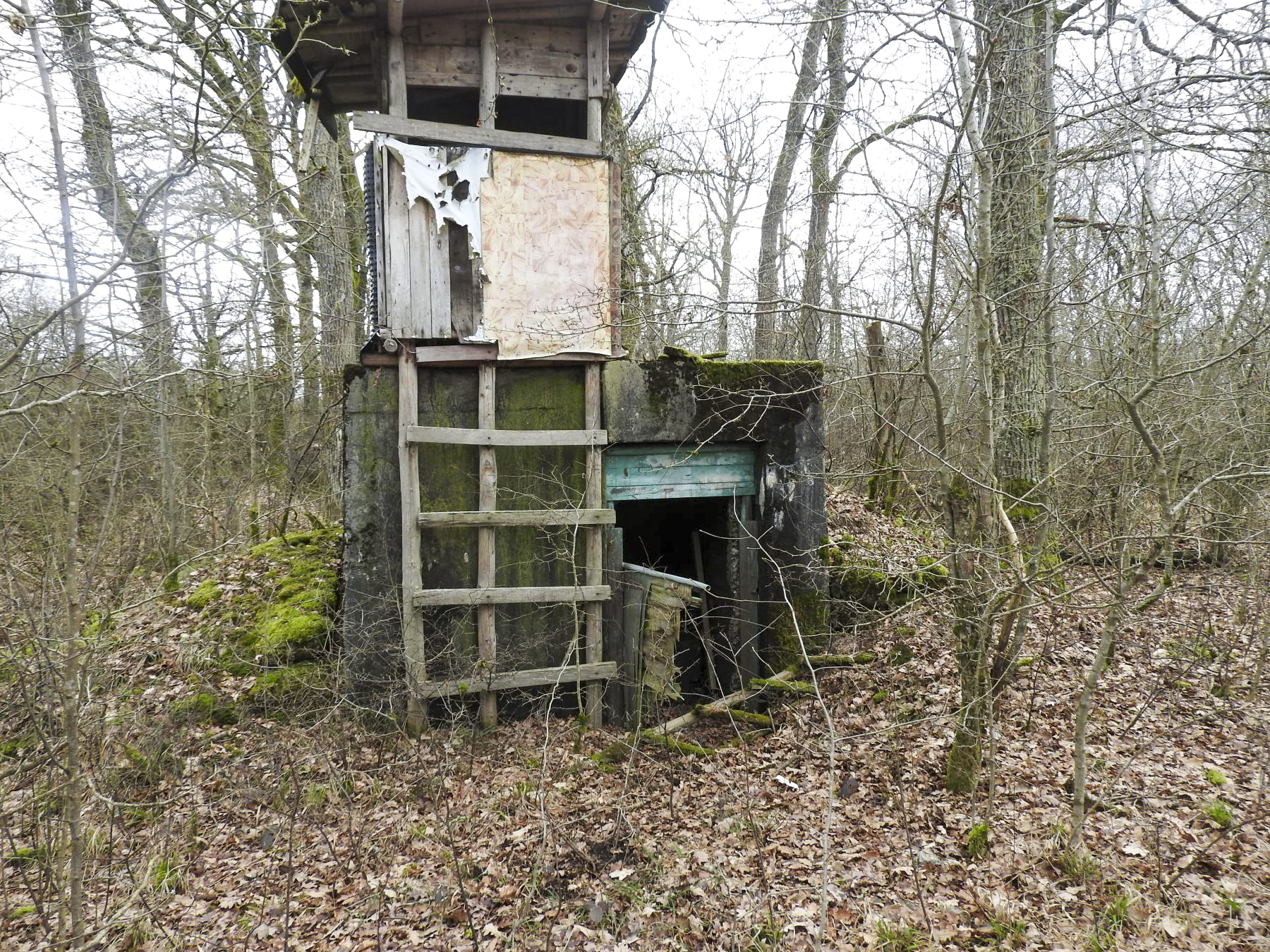 Ligne Maginot - SCHEIDE 3 - (Blockhaus de type indéterminé) - L'entrée. - STENGER Mathieu