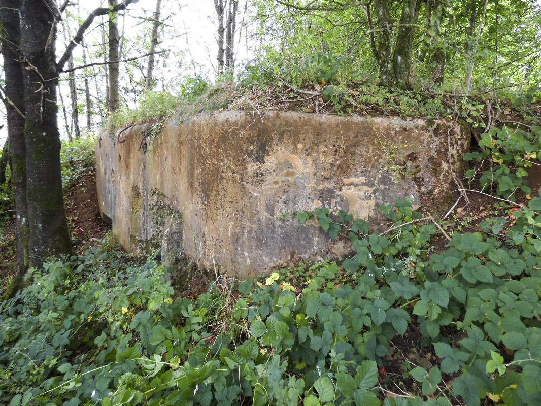 Ligne Maginot - 78BIS - LE TERME - (Blockhaus pour arme infanterie) -  - JMBrams
