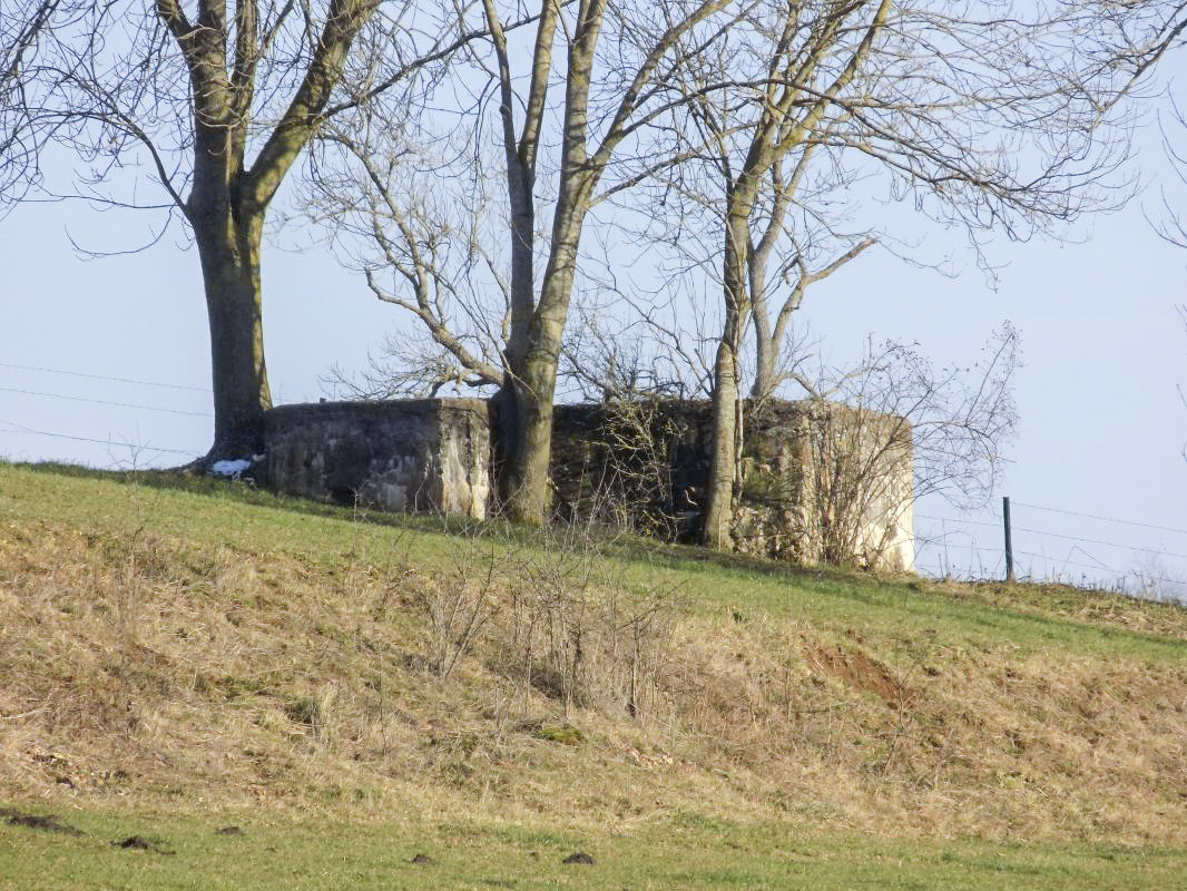 Ligne Maginot - 80 - LES CERISIERS SUD - (Blockhaus pour arme infanterie) - L'arrière et face droite - R Tucker