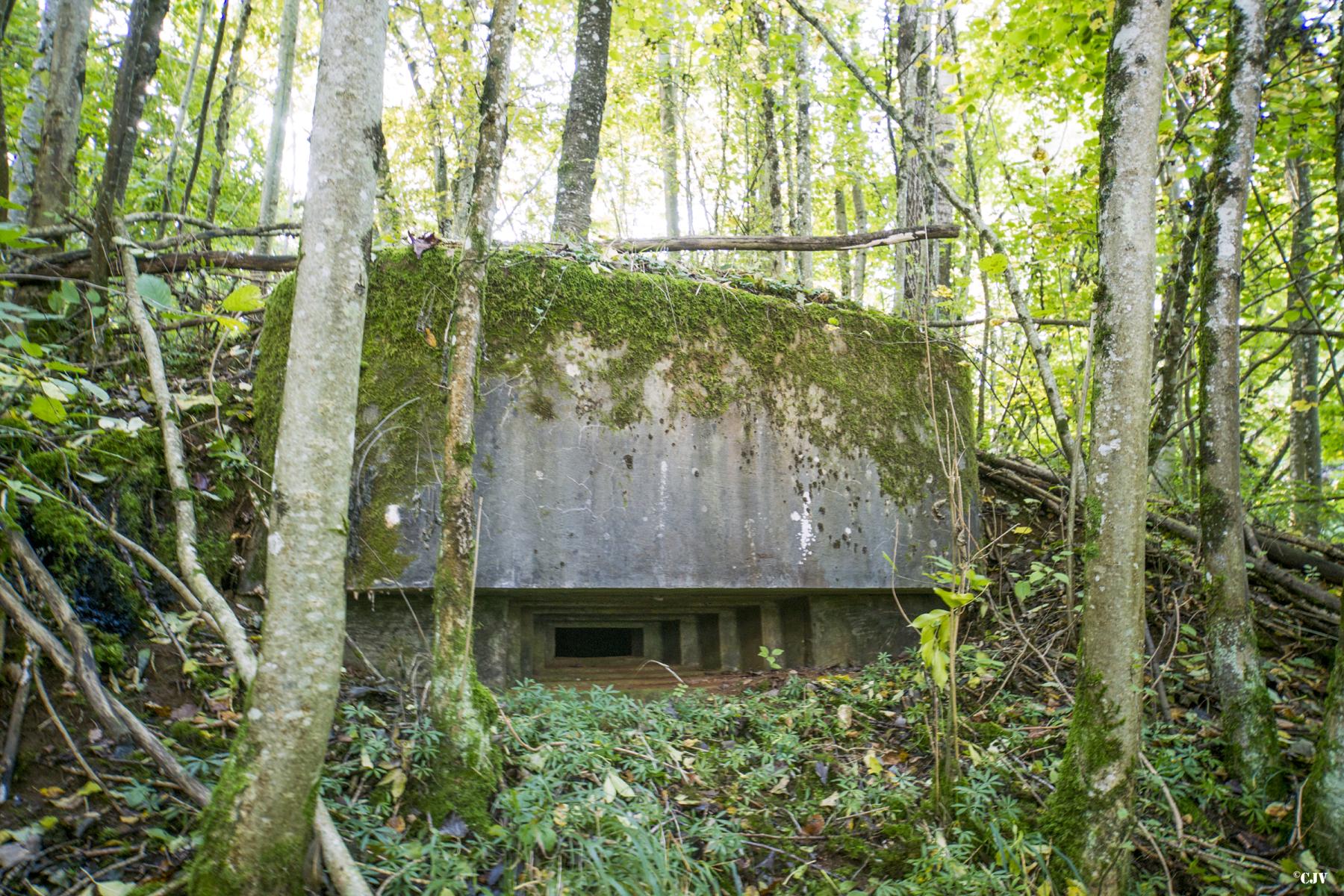 Ligne Maginot - 81BIS - LES MINIERES - (Blockhaus pour arme infanterie) -  - Lia VERMEULEN