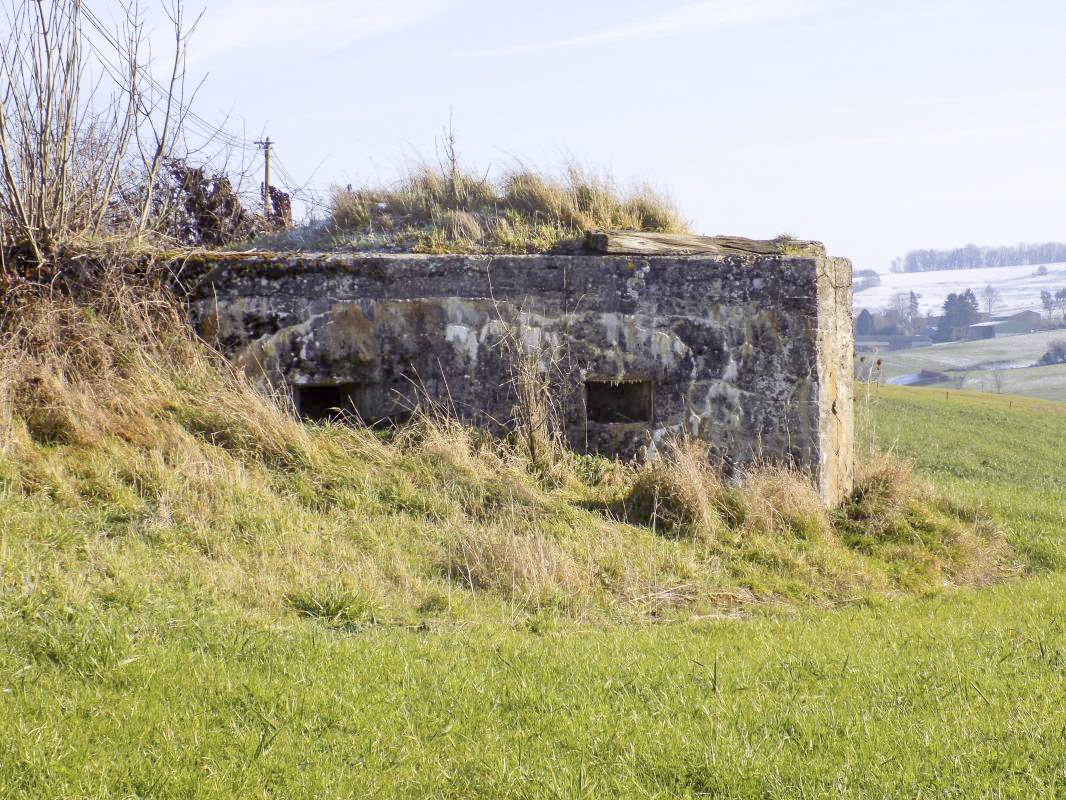 Ligne Maginot - 82 - BOIS DORVILLE EST - (Blockhaus pour arme infanterie) - Face frontale - R Tucker