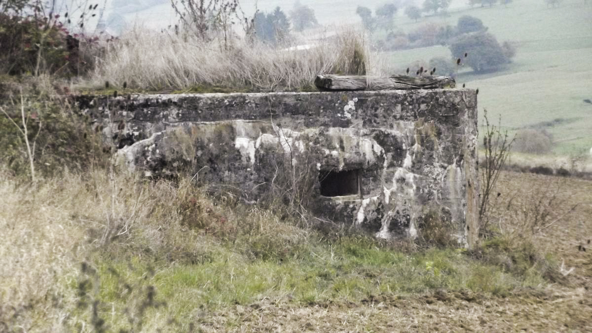 Ligne Maginot - 82 - BOIS DORVILLE EST - (Blockhaus pour arme infanterie) -  - David HARMAND