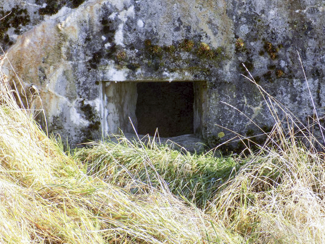 Ligne Maginot - 82 - BOIS DORVILLE EST - (Blockhaus pour arme infanterie) - Face frontale, créneau droite - R Tucker