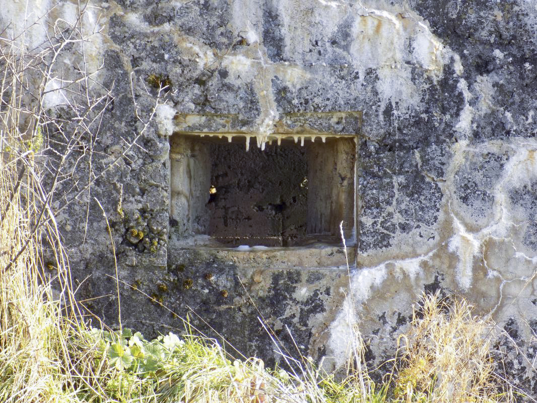 Ligne Maginot - 82 - BOIS DORVILLE EST - (Blockhaus pour arme infanterie) - Face frontale, créneau gauche - R Tucker