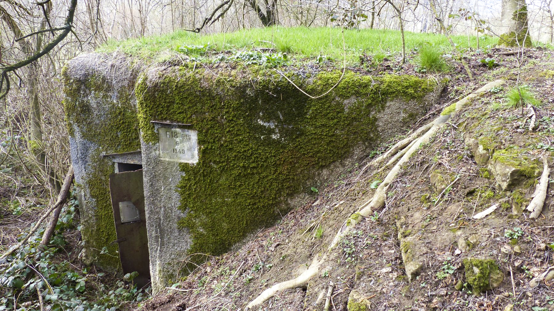 Ligne Maginot - A - BOIS RIGAULT - (Blockhaus pour canon) -  - David Harmand