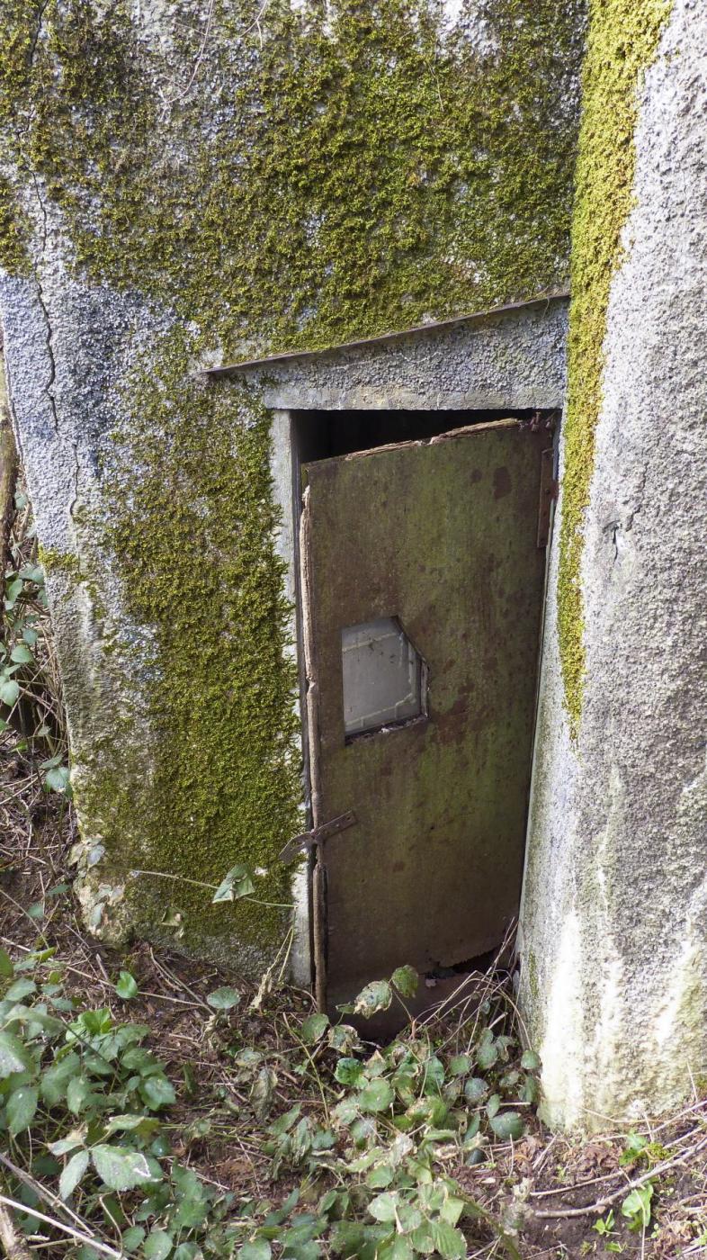 Ligne Maginot - A - BOIS RIGAULT - (Blockhaus pour canon) - Il semblerait que cela soit la porte d'époque (une porte en bois plaquée de deux tôles) 
  - David Harmand