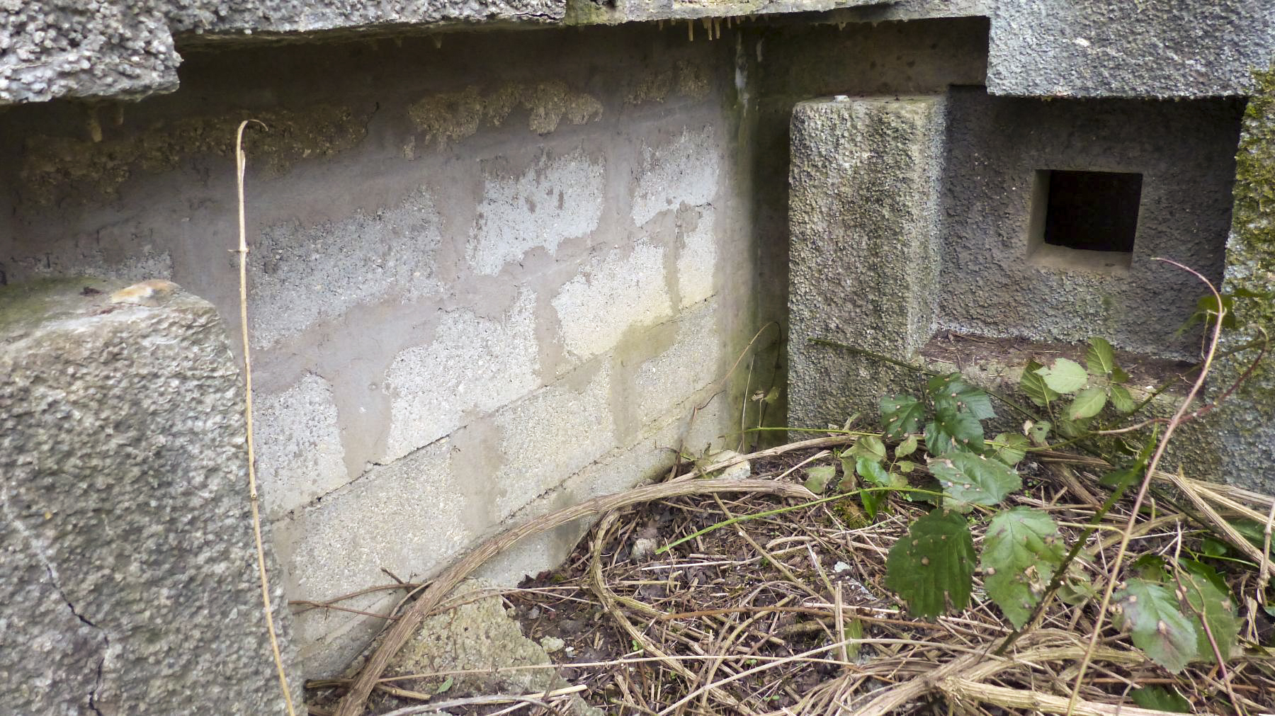 Ligne Maginot - A - BOIS RIGAULT - (Blockhaus pour canon) - Le créneau FM de défense de l'entrée matériel  - David Harmand