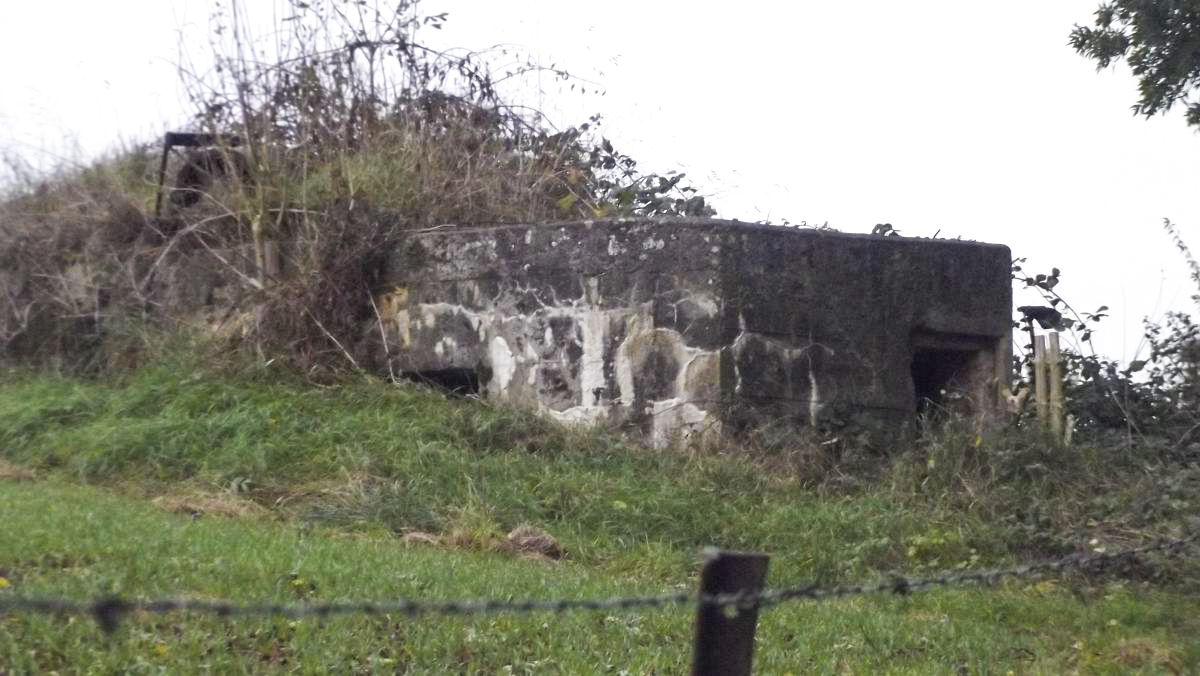 Ligne Maginot - B78TER - LA SERPE OUEST - (Blockhaus pour arme infanterie) -  - David HARMAND