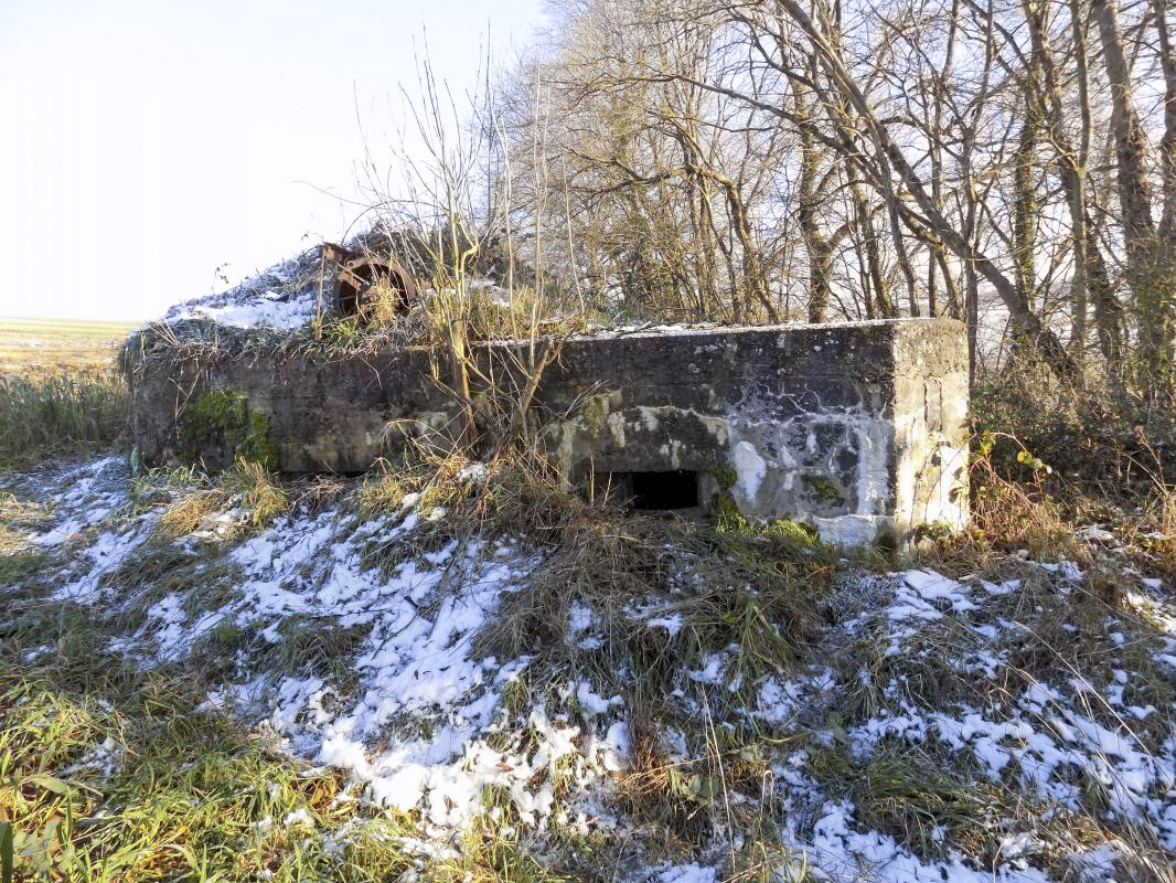 Ligne Maginot - B78TER - LA SERPE OUEST - (Blockhaus pour arme infanterie) - Face frontale - R Tucker
