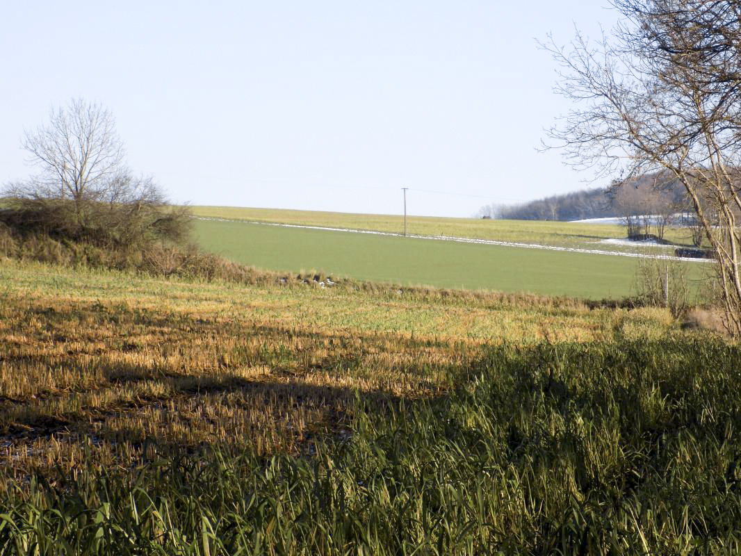 Ligne Maginot - B78TER - LA SERPE OUEST - (Blockhaus pour arme infanterie) - Vue vers l'est: Bloc B78 à gauche, bloc B77 à droite et au milieu sur l'horizon cloche de bloc 4 Le Chenois. - R Tucker