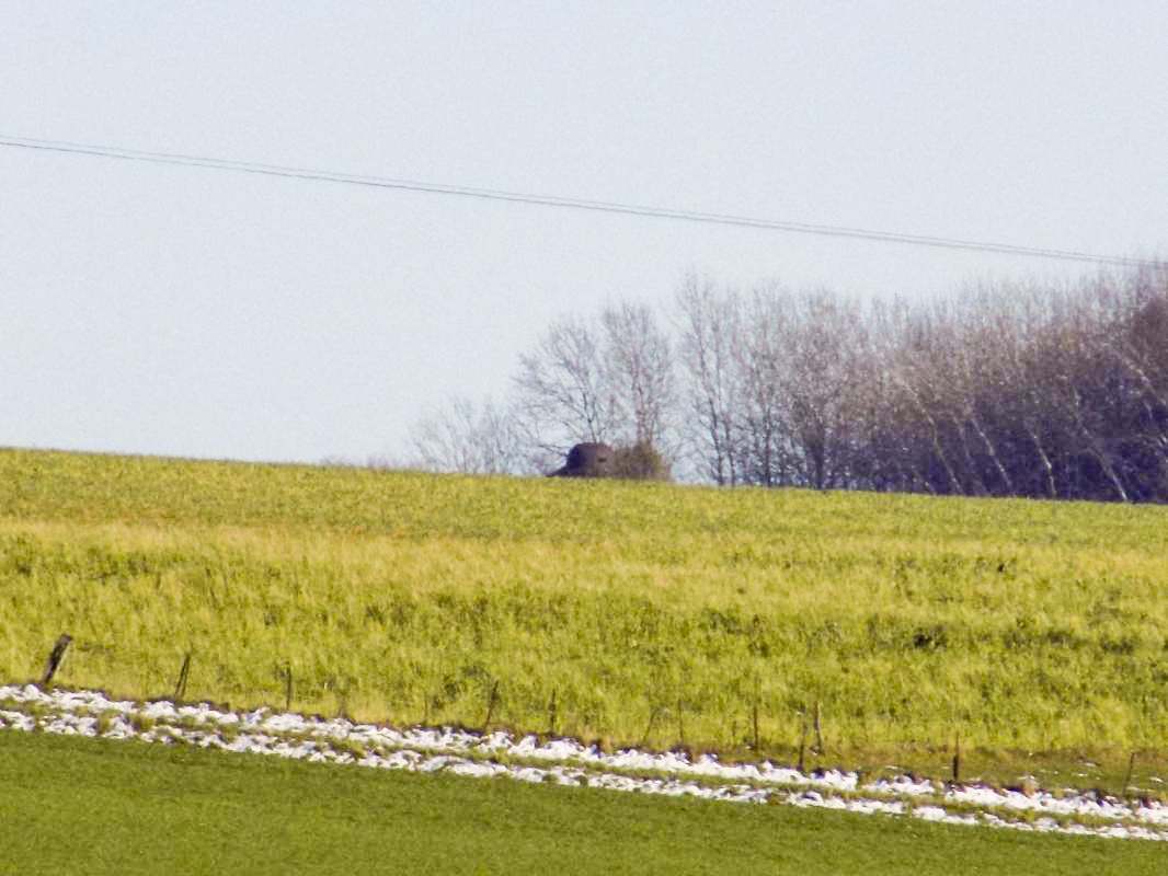 Ligne Maginot - B78TER - LA SERPE OUEST - (Blockhaus pour arme infanterie) - Vue vers l'est: Cloche de bloc 4 Le Chenois. - R Tucker
