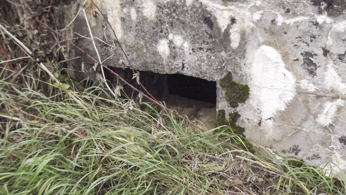 Ligne Maginot - B78TER - LA SERPE OUEST - (Blockhaus pour arme infanterie) -  - David HARMAND