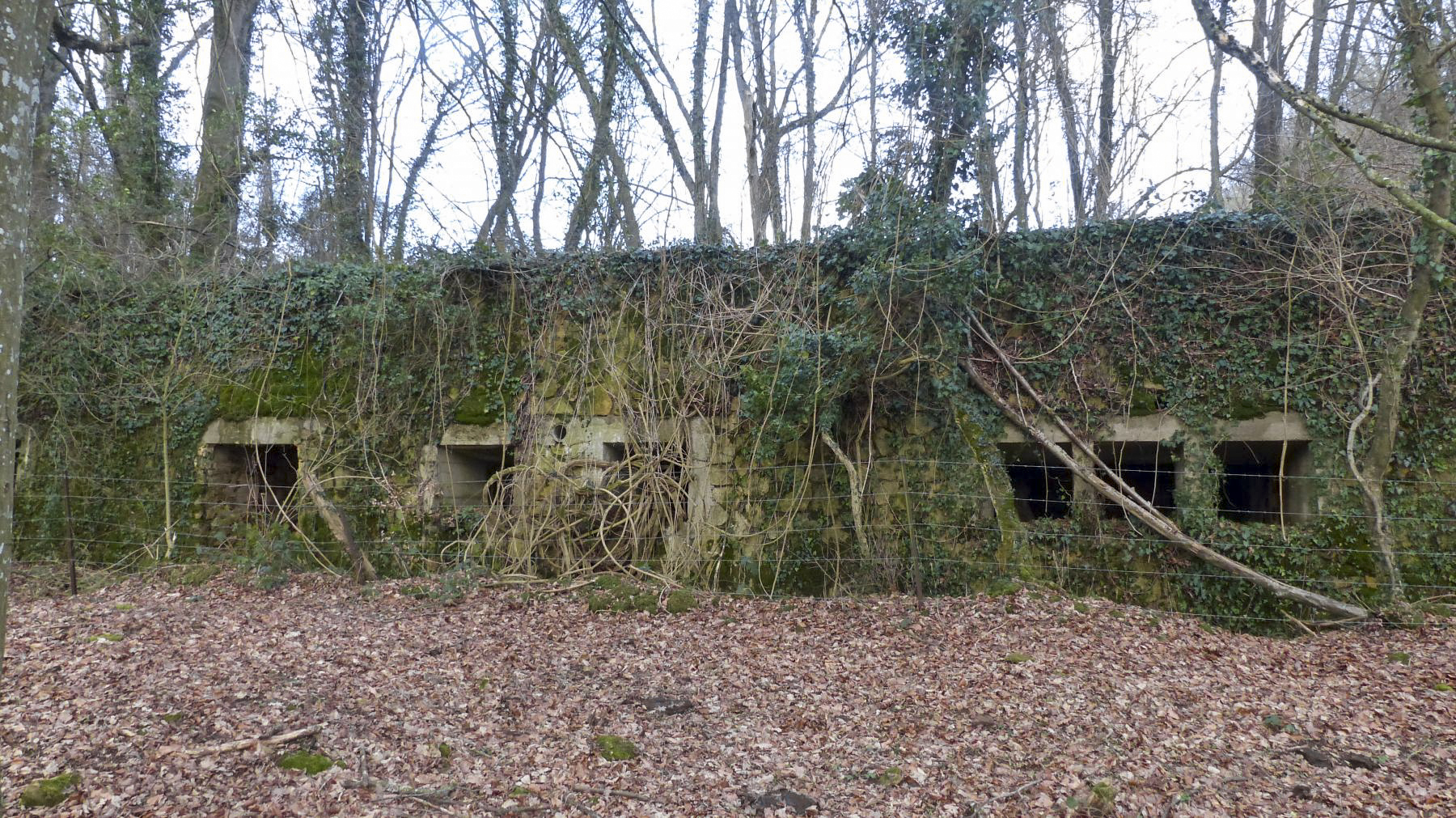 Ligne Maginot - BOIS DES ROCHES (3° DIC) - (PC) -  - David Harmand