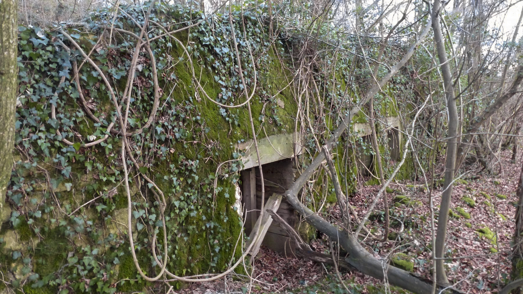 Ligne Maginot - BOIS DES ROCHES (3° DIC) - (PC) - L'une des trois entrées. Epaisseur du mur en façade 1,20 mètres environ - David Harmand
