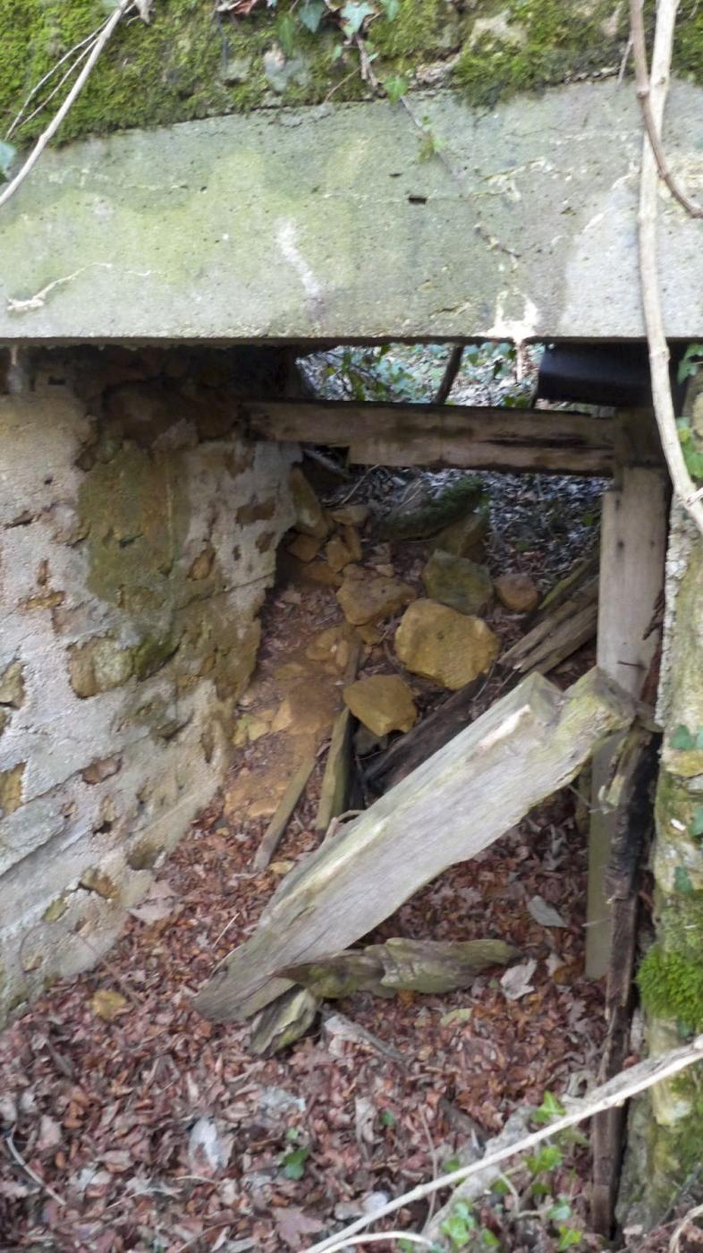 Ligne Maginot - BOIS DES ROCHES (3° DIC) - (PC) -  - David Harmand