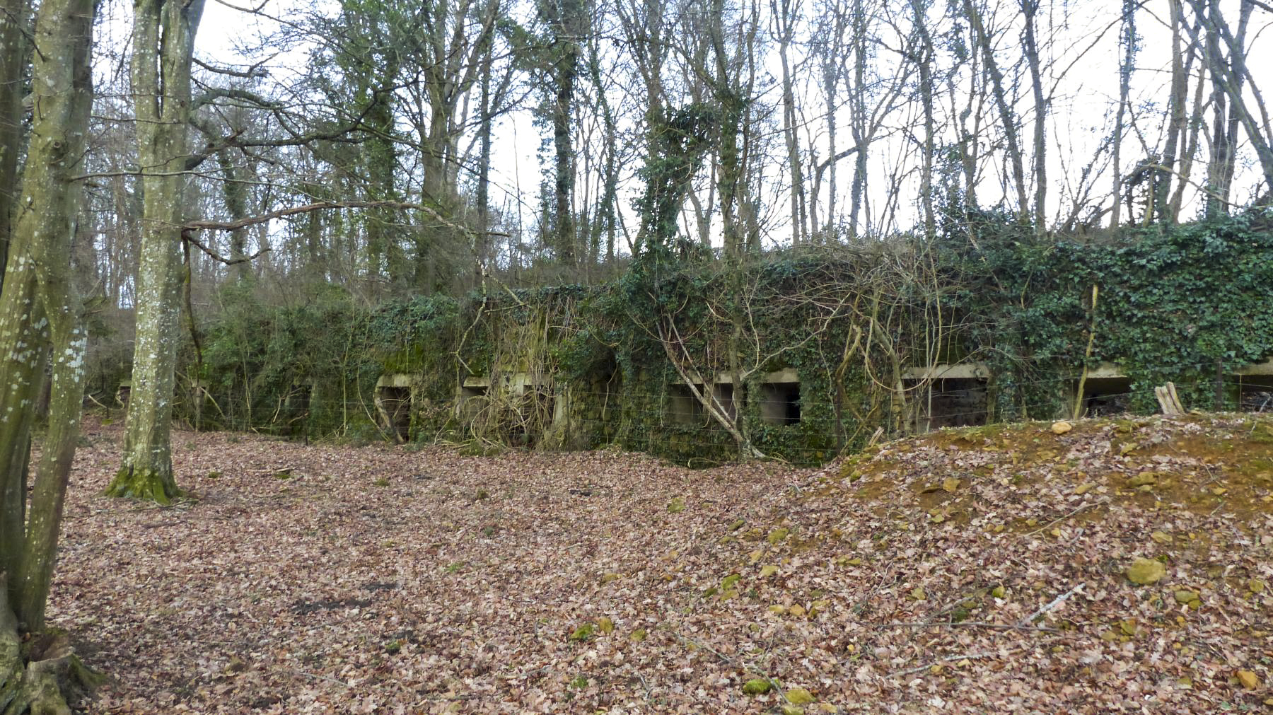 Ligne Maginot - BOIS DES ROCHES (3° DIC) - (PC) -  - David Harmand