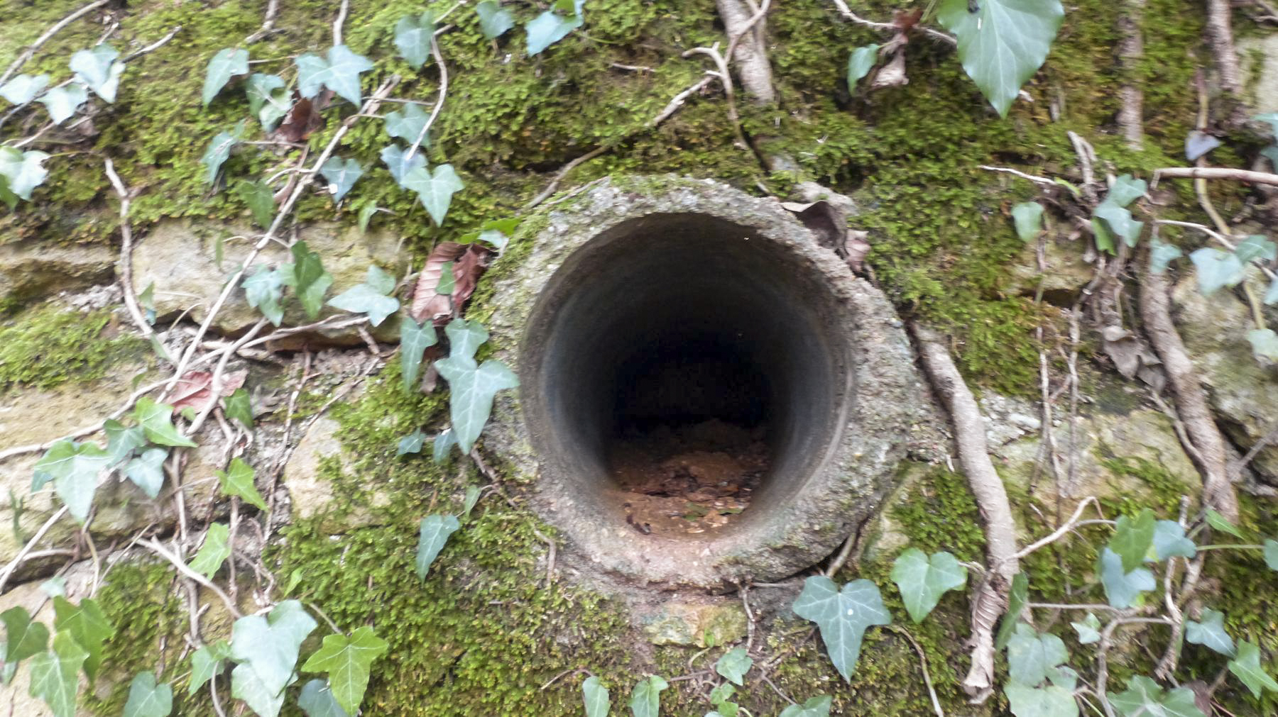 Ligne Maginot - BOIS DES ROCHES (3° DIC) - (PC) - Conduit d'aération - David Harmand