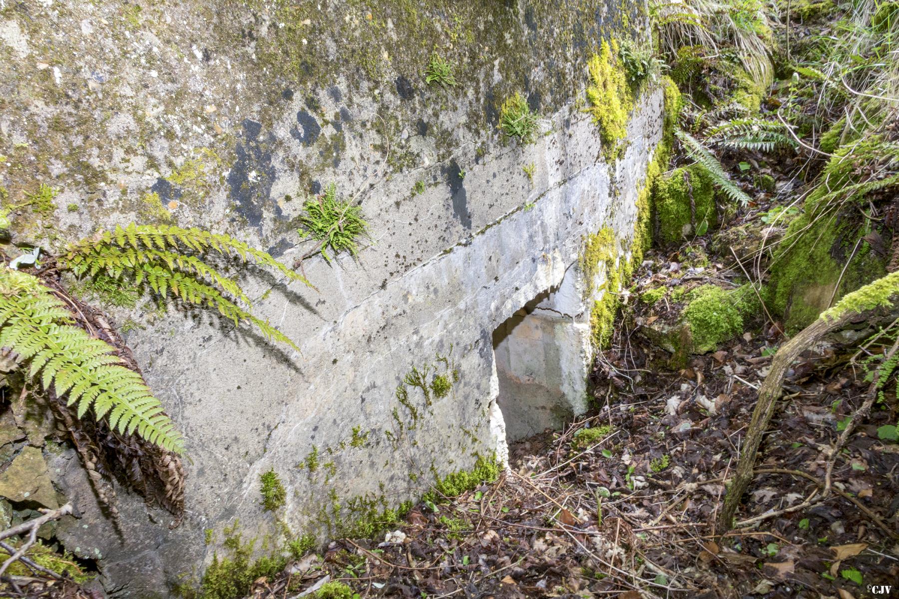 Ligne Maginot - BOIS DE VILLÉCLOYE 2 - (Observatoire d'infanterie) -  - Lia VERMEULEN