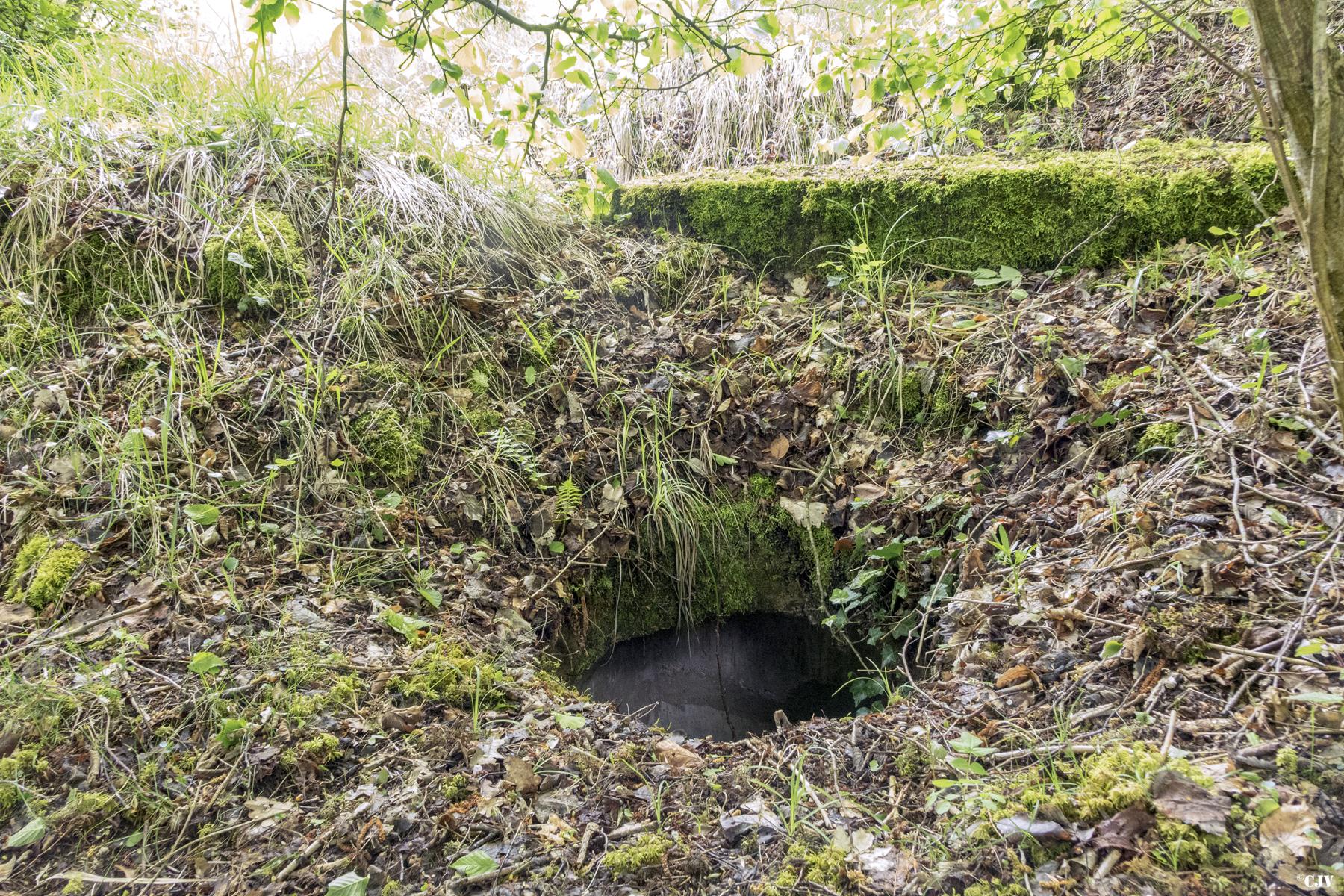 Ligne Maginot - BOIS DE VILLÉCLOYE 2 - (Observatoire d'infanterie) -  - Lia VERMEULEN